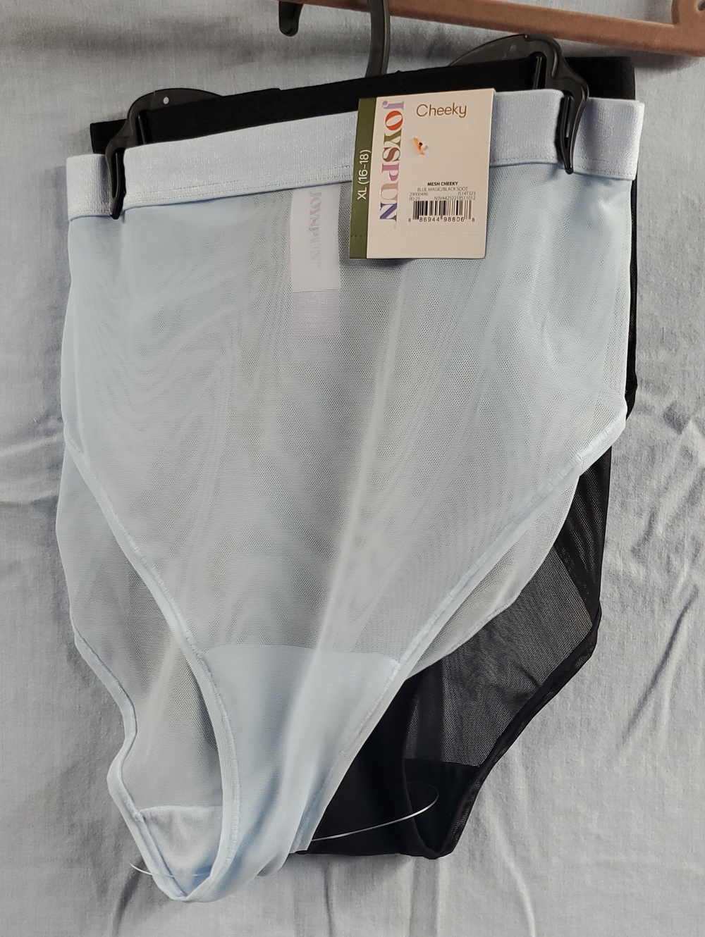 Joyspun Sheer Cheeky Briefs - Light Blue & Black